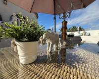 Resale - Country House - Catral - CatralAlicanteValenciaSpain