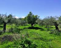 Resale - Country House - Cocentaina