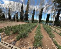 Resale - Country House - Crevillente - CrevillenteAlicanteValenciaSpain