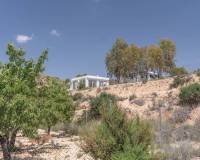 Resale - Country House - Crevillente - CrevillenteAlicanteValenciaSpain