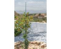 Resale - Country House - Crevillente - CrevillenteAlicanteValenciaSpain