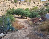 Resale - Country House - Crevillente - CrevillenteAlicanteValenciaSpain