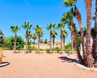 Resale - Country House - Daya Vieja - Daya Vieja - Country