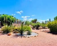 Resale - Country House - Daya Vieja - Daya Vieja - Country