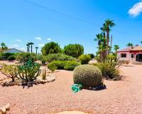 Resale - Country House - Daya Vieja - Daya Vieja - Country