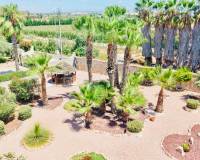 Resale - Country House - Daya Vieja - Daya Vieja - Country