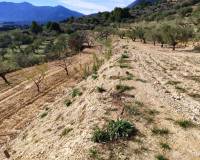 Resale - Country House - Gaianes