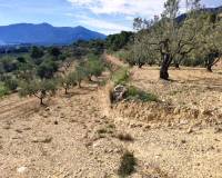 Resale - Country House - Gaianes