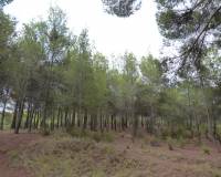 Resale - Country House - Ibi - Ibi - Country