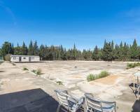 Resale - Country House - Los Montesinos - Los Montesinos - Country