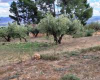 Resale - Country House - Muro de Alcoy