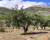 Resale - Country House - Muro de Alcoy