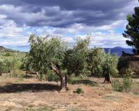 Resale - Country House - Muro de Alcoy