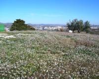 Resale - Country House - Ontinyent