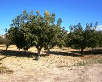 Resale - Country House - Ontinyent