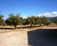 Resale - Country House - Ontinyent