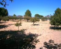 Resale - Country House - Ontinyent