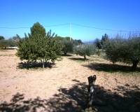 Resale - Country House - Ontinyent