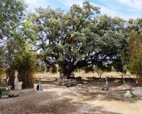 Resale - Country House - Ontinyent