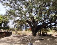 Resale - Country House - Ontinyent