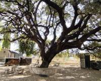 Resale - Country House - Ontinyent