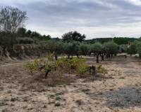 Resale - Country House - Ontinyent