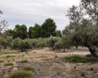 Resale - Country House - Ontinyent