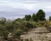 Resale - Country House - Ontinyent