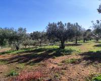 Resale - Country House - Ontinyent