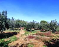 Resale - Country House - Ontinyent