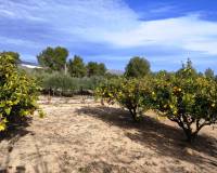 Resale - Country House - Ontinyent