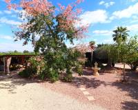 Resale - Country House - Orihuela - La Campaneta