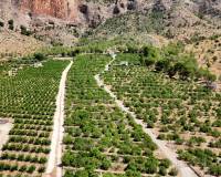 Resale - Country House - Orihuela - Raiguero de Bonanza