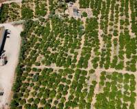 Resale - Country House - Orihuela - Raiguero de Bonanza