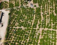 Resale - Country House - Orihuela - Raiguero de Bonanza