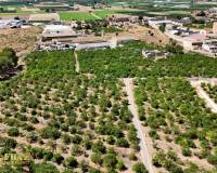 Resale - Country House - Orihuela - Raiguero de Bonanza