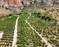 Resale - Country House - Orihuela - Raiguero de Bonanza