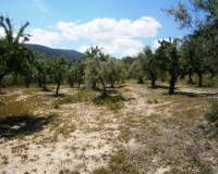 Resale - Country House - Penaguila - Penáguila