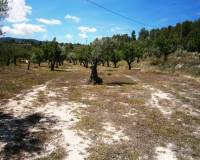 Resale - Country House - Penaguila - Penáguila