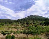 Resale - Country House - Penaguila - Penáguila