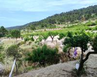 Resale - Country House - Penaguila - Penáguila