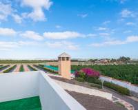 Resale - Country House - San Miguel de Salinas - San Miguel - Country