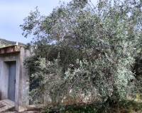 Resale - Country House - Villalonga