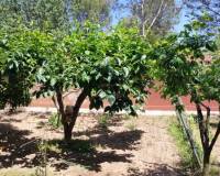 Resale - Country House - Villalonga