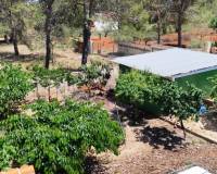 Resale - Country House - Villalonga