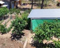 Resale - Country House - Villalonga