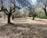 Resale - Country House - Villalonga