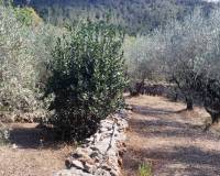 Resale - Country House - Villalonga