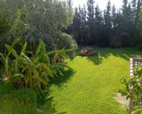 Resale - Detached house - Daya Nueva