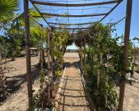 Resale - Detached Villa - Albatera - El Moco, Albatera